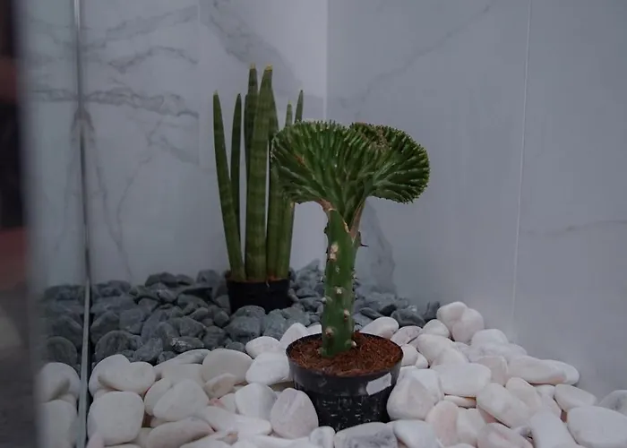 Quinta Do Alem Feriehus